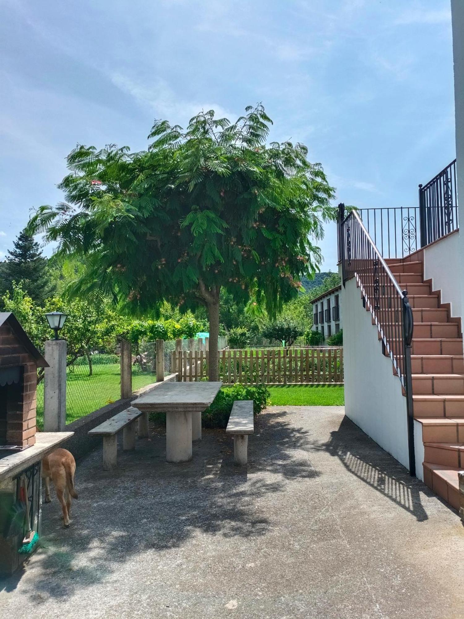 Apartamento Rural Casa Paco Con Jacuzzi Exterior Y Barbacoa Aínsa Buitenkant foto